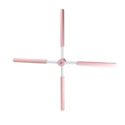 Træningsredskab For Holdning